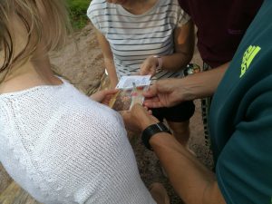 Opettajien viestintäkoulutus, analyysiryhmätyö