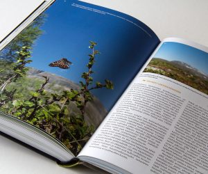 Kirjan graafinen suunnittelu ja taitto