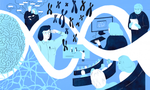 Harvinaiskeskus Norio tietopalvelut