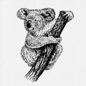 Hand drawn illustration. Personal project.