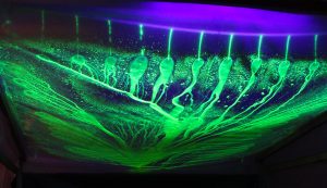 Momentary Appearance, 2018 Kuva: Henna Hietainen