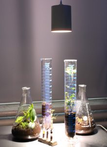 Momentary Appearance, 2018 Kuva: Henna Hietainen