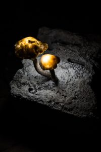 Momentary Appearance, 2016 Kuva: Markus Laakso