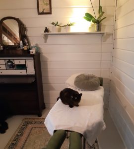 Hoitotila Vaarala, Vantaa