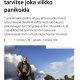 Varjoja työttömyysturvan yllä