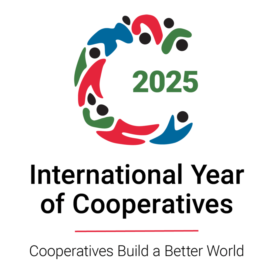 IYC2025 logo