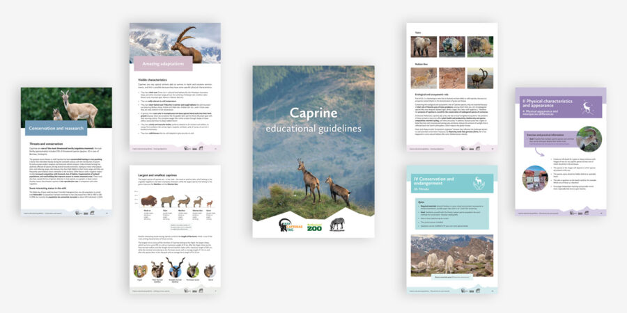 Terhi Saalastin suunnittelema opas eläintarhojen ympäristökasvattajille